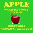 APPLE Hurtownia Warzyw i Owoców logo
