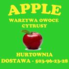 APPLE Hurtownia Warzyw i Owoców