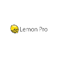 Opieka informatyczna dla firm - LEMON PRO