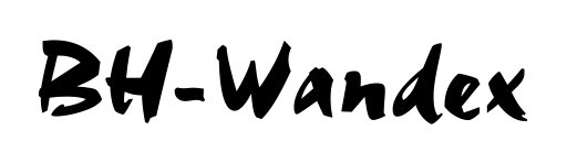 BH-WANDEX logo