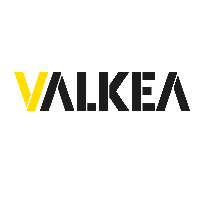 VALKEA MEDIA SPÓŁKA AKCYJNA