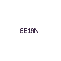 Optymalizowanie cyfryzacji w biznesie - SE16N logo