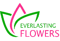 Everlasting FLOWERS