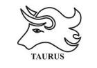 Taurus