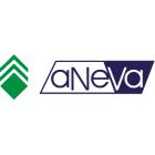 ANEVA logo
