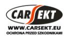 Carsekt logo