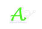ALFABET SUKCESU PAWEŁ STRZEBIECKI