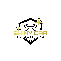 SHINY CAR