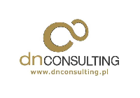 DN Consulting  logo