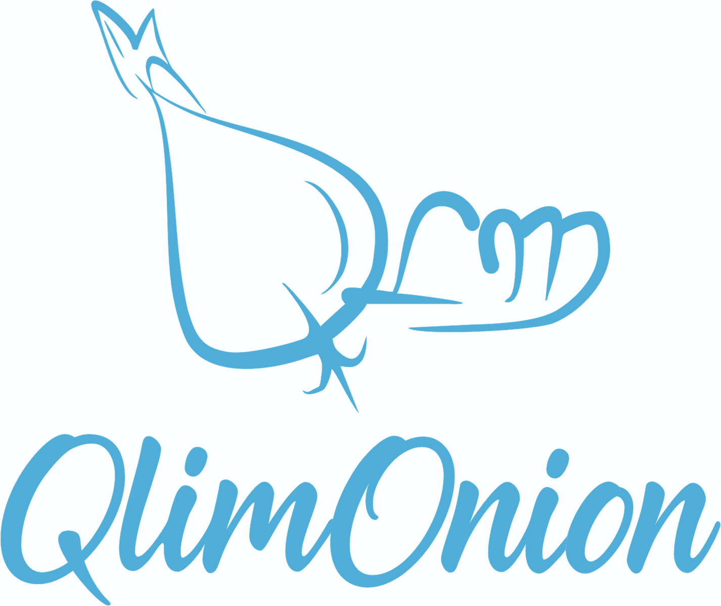 QlimOnion Martyna Klimczak Software house