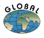 P.P.U.H GLOBAL logo
