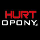 Hurtopony Dawid Koziołek