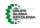 Grupa Silesia Szkolenia sp. z o.o. logo
