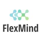 FLEXMIND. KRZYSZTOF BIELECKI logo