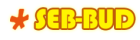 Usługi Brukarskie SEB-BUD logo