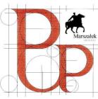 Architekt Arkadiusz Marszałek logo