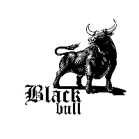 Mateusz Mirus BLACK BULL SUPER CARS RENT AND SALE