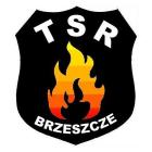 TERENOWA SŁUŻBA RATOWNICZA logo