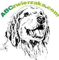 FIRMA HANDLOWO USŁUGOWA Dariusz Woszczycki logo