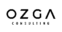 OZGA CONSULTING COMPANY