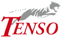 Tenso 2 sp. z o.o. logo