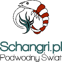 Schangri.pl - Sylwia Wojak logo