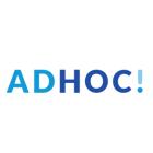 ADHOC Agencja Interaktywna