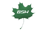 WOJCIECH STASZ PPHU "BSW" logo