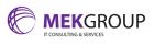 MEK Group