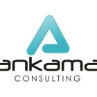 ANKAMA CONSULTING Kamil Batko