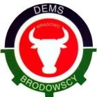 DEMS logo
