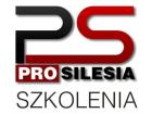 Pro Silesia sp. z o.o. logo