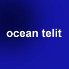 Ocean Telit Agnieszka Małaszek logo