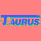 TAURUS SP Z O O