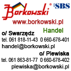 BORKOWSKI - Grupa SBS Sp. z o.o.