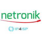Netronik logo