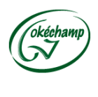 Okechamp S.A. logo