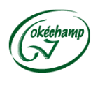 Okechamp S.A.