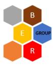 Ber Group Dariusz Mścisz logo