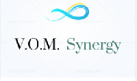 VOM SYNERGY SPÓŁKA Z OGRANICZONĄ ODPOWIEDZIALNOŚCIĄ