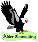 ADLER CONSULTING Michał Andrzejczyk