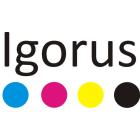 Igorus Igor Drużyński