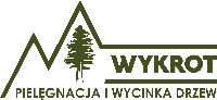 WYKROT Michał Szydłowski logo