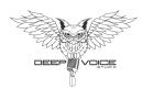 Deep Voice Studio Krzysztof Kobylarz logo