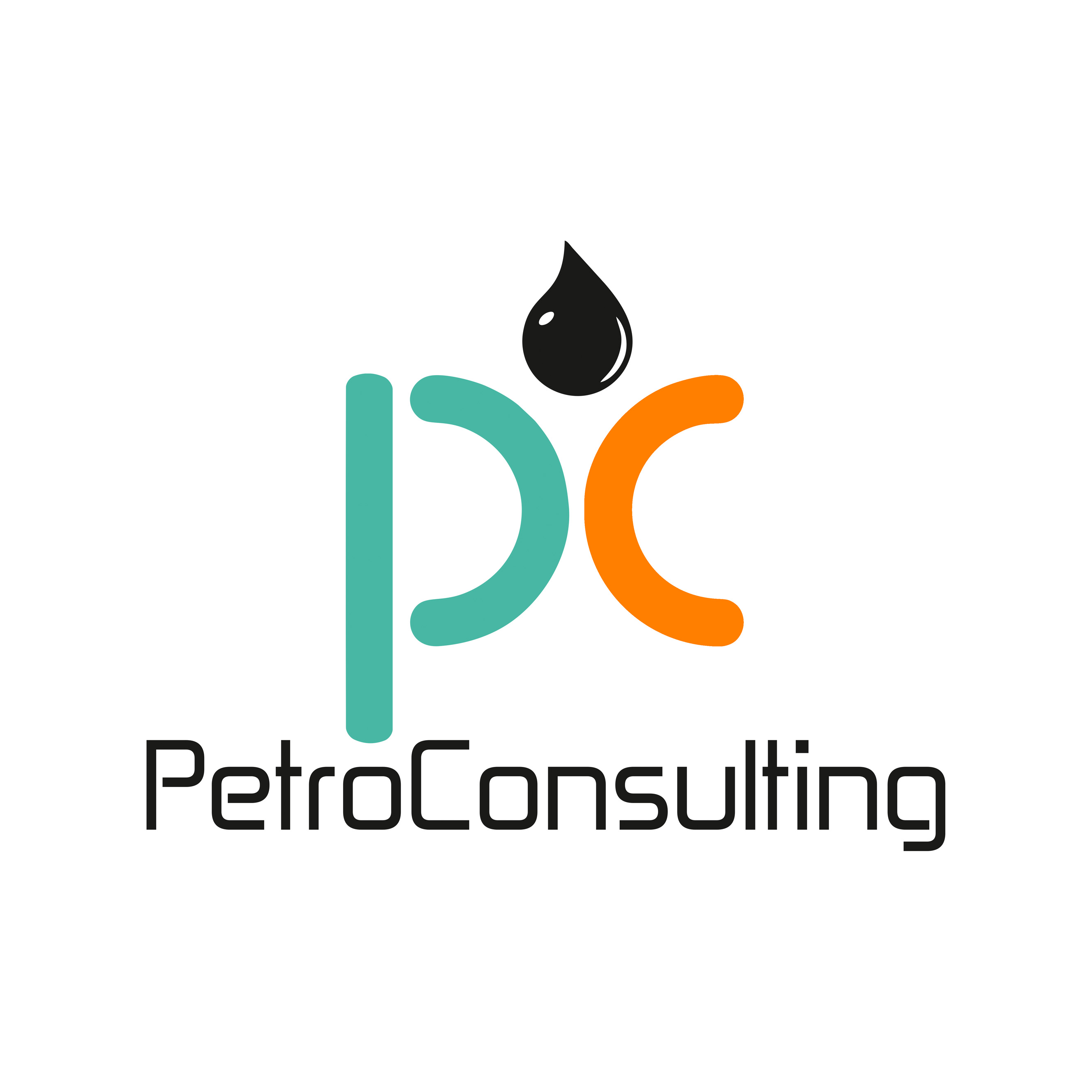 PETROCONSULTING Sp. z o.o. logo