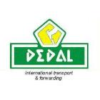 DEDAL Sp. z o.o. s.k.