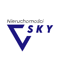 V-SKY Daniil Syniavskyi