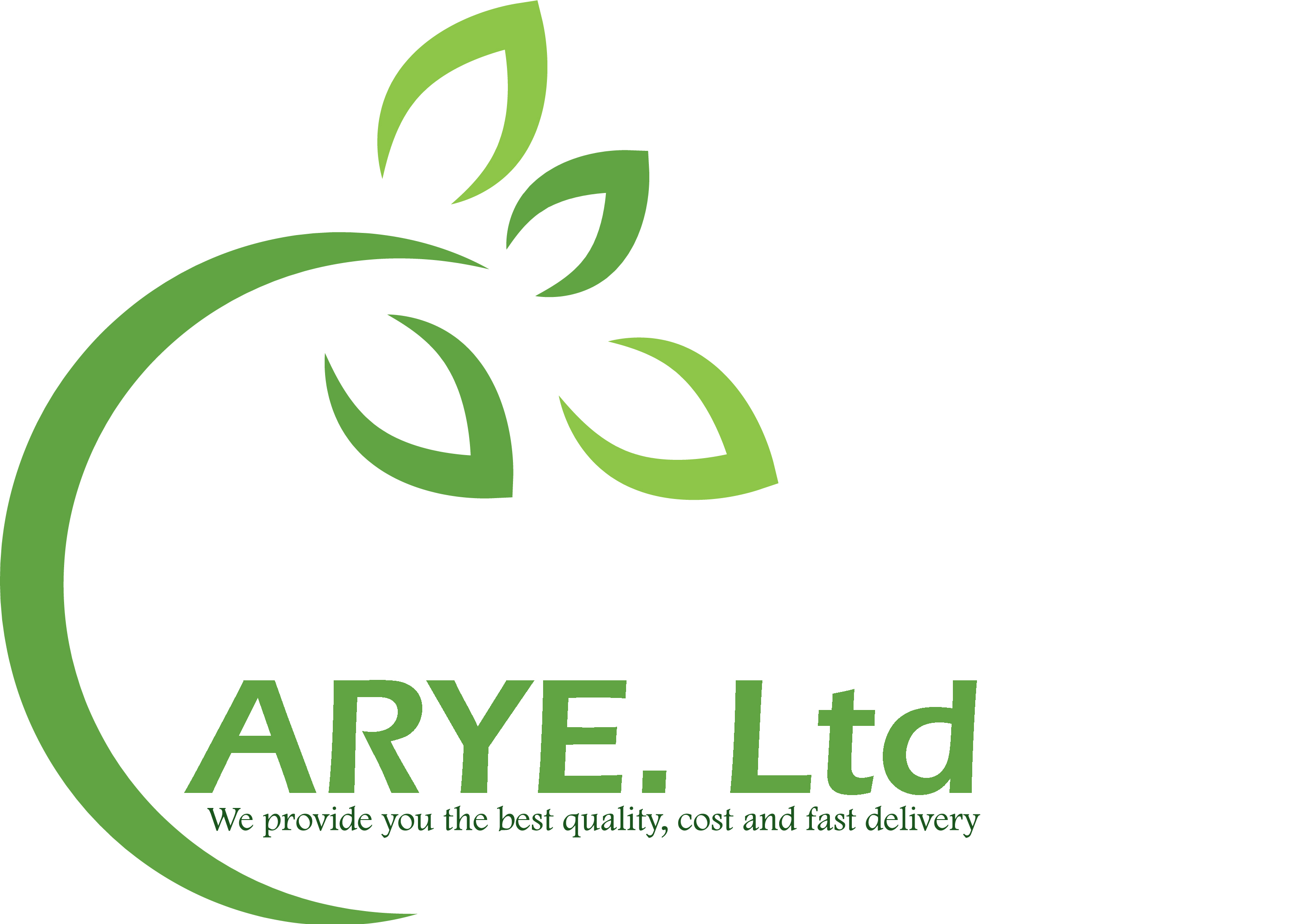 ARYE .Ltd Polska logo