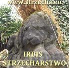 IRBIS Strzecharstwo