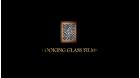 Looking Glass Films™